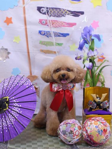 20240529ラブちゃん